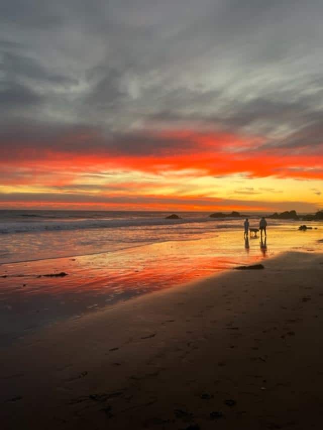 Malibu Best Shot: Passionate Night