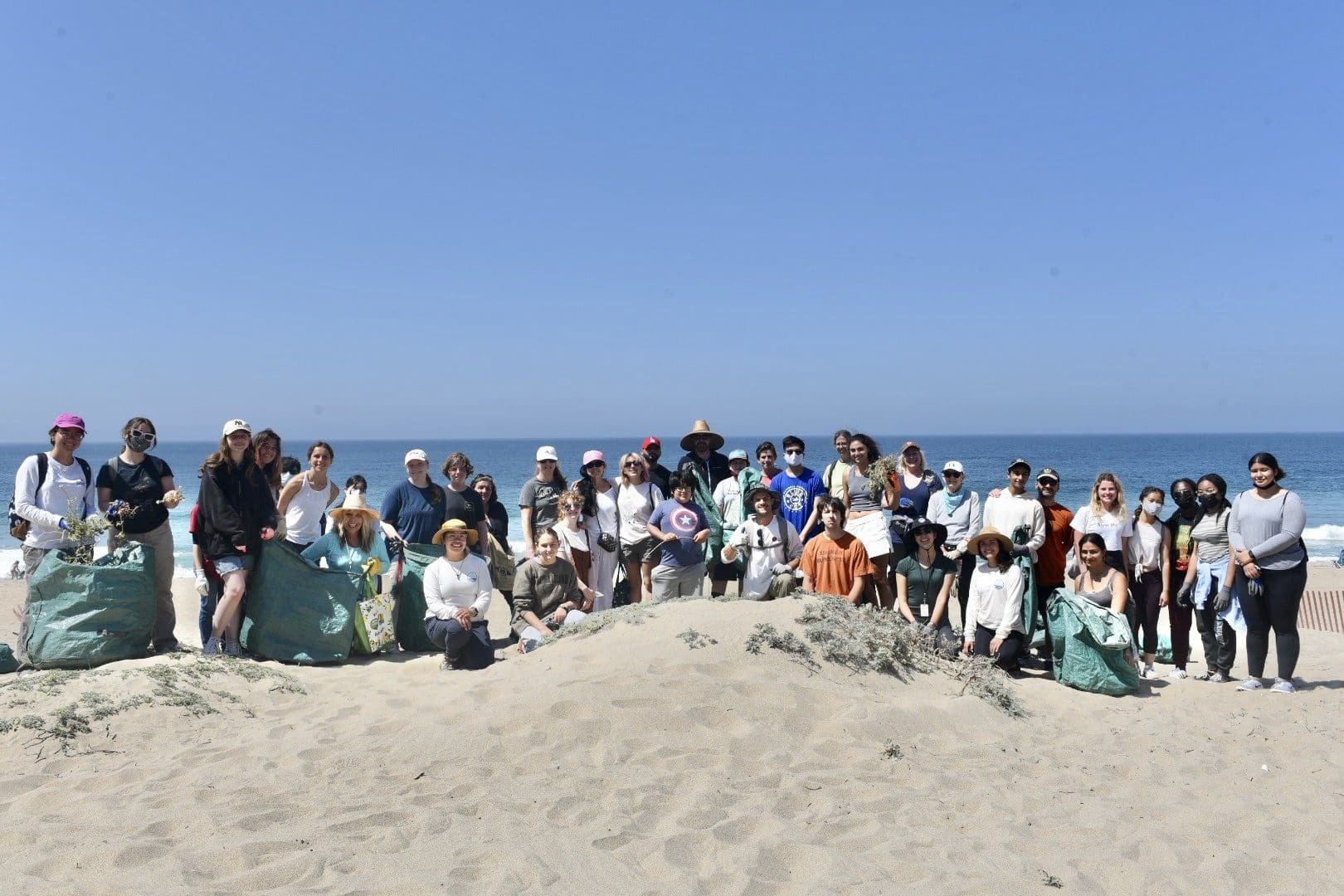 Restoring Malibu beaches, one volunteer at a time