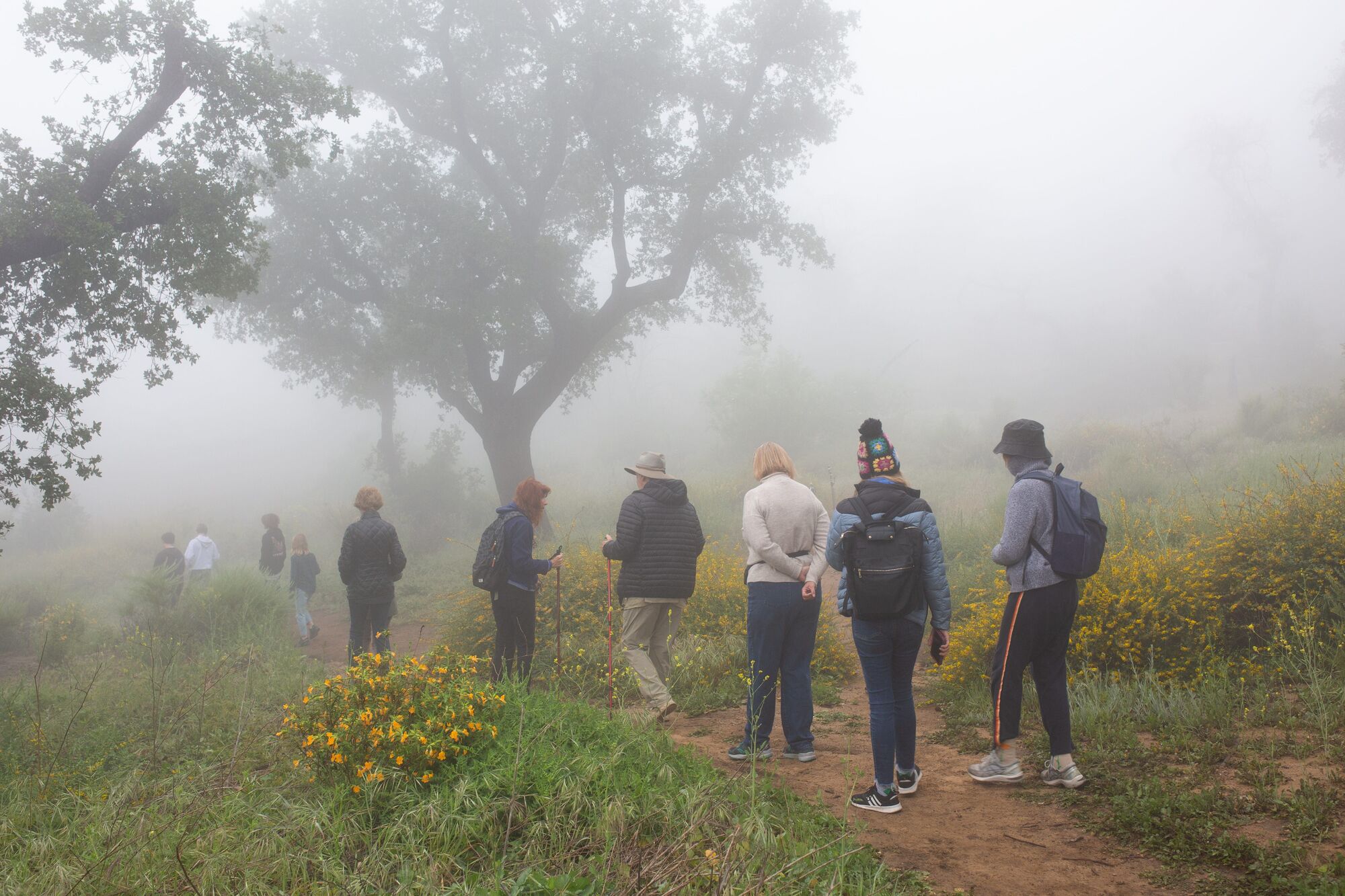 Calendar for the week of 6/23