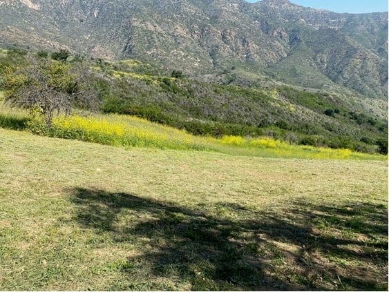 Malibu property owners experiencing fire insurance hikes