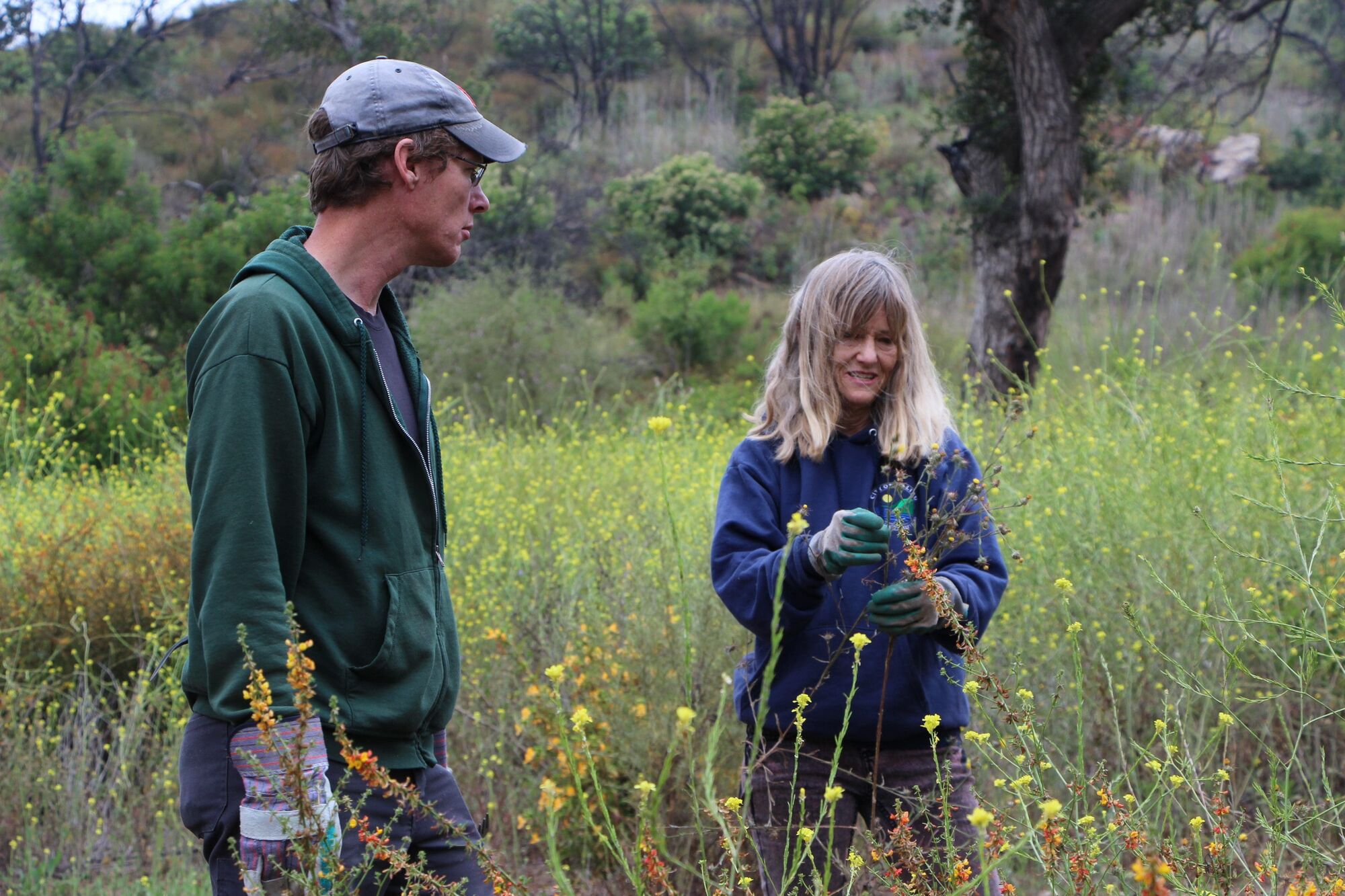 Weeding out trouble in Malibu
