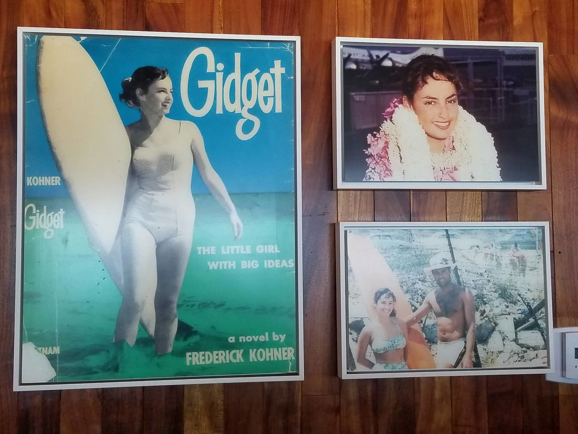Malibu's original 'Gidget' celebrated at fundraiser