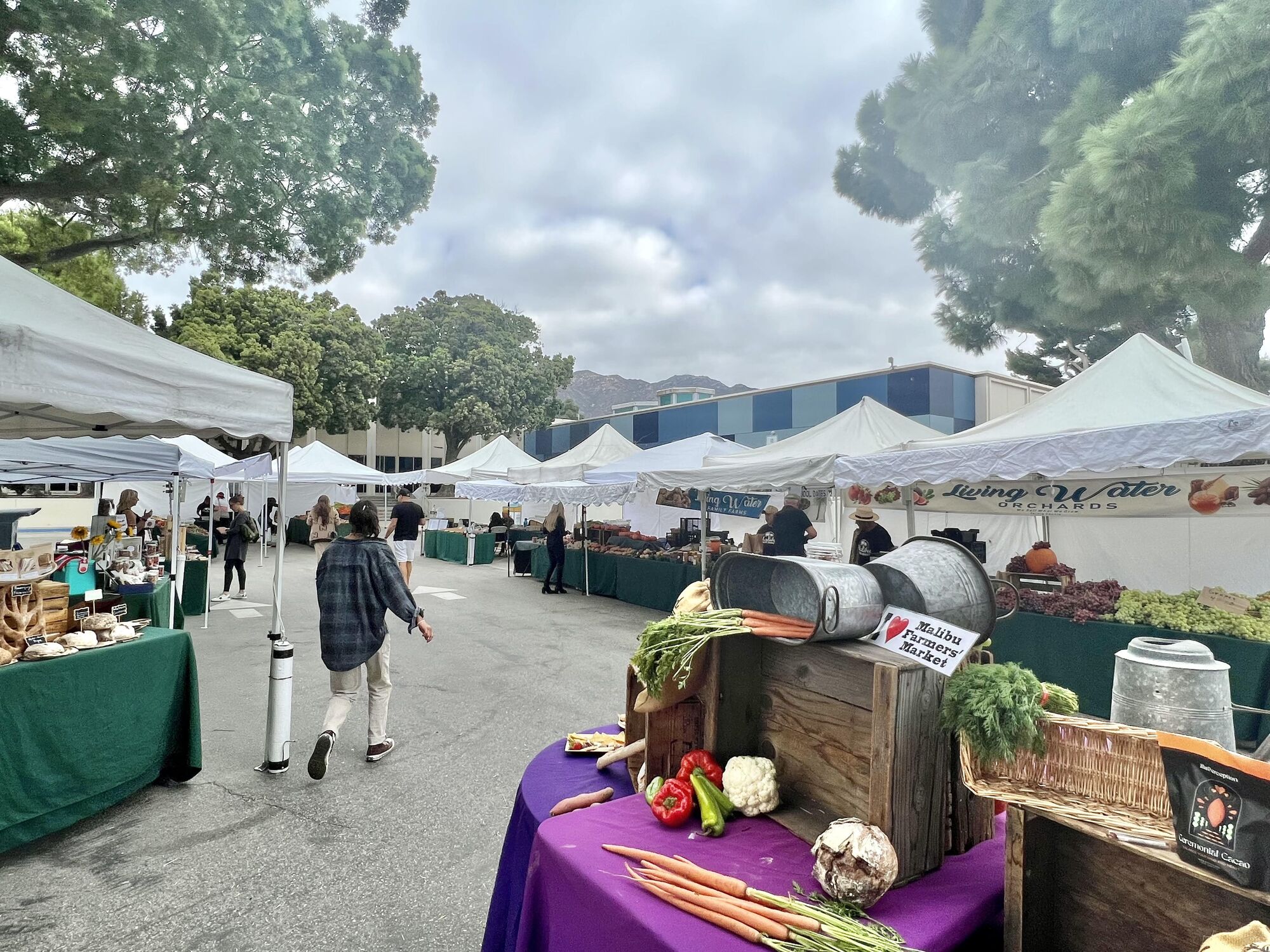 Malibu Farmers Market is squeezed out of regular Civic Center location