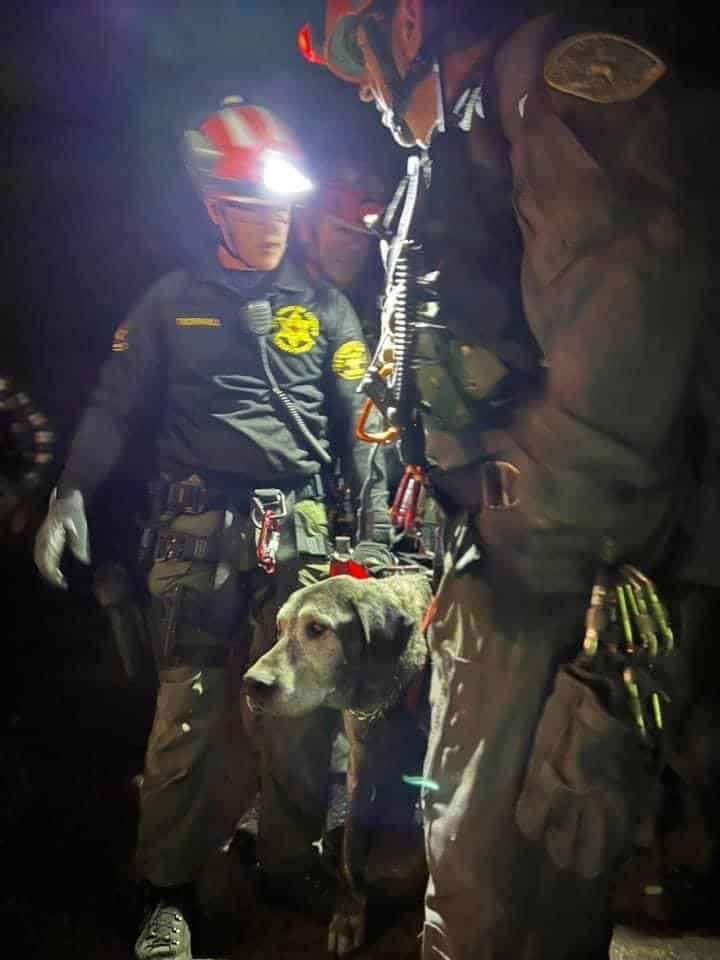 Malibu Search and Rescue saves missing dog