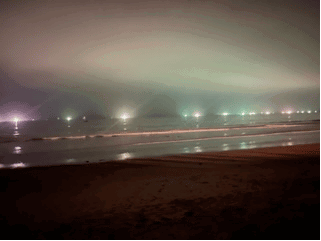 Fish & Wildlife scientist answers questions about commercial squid fishing off the Malibu coast