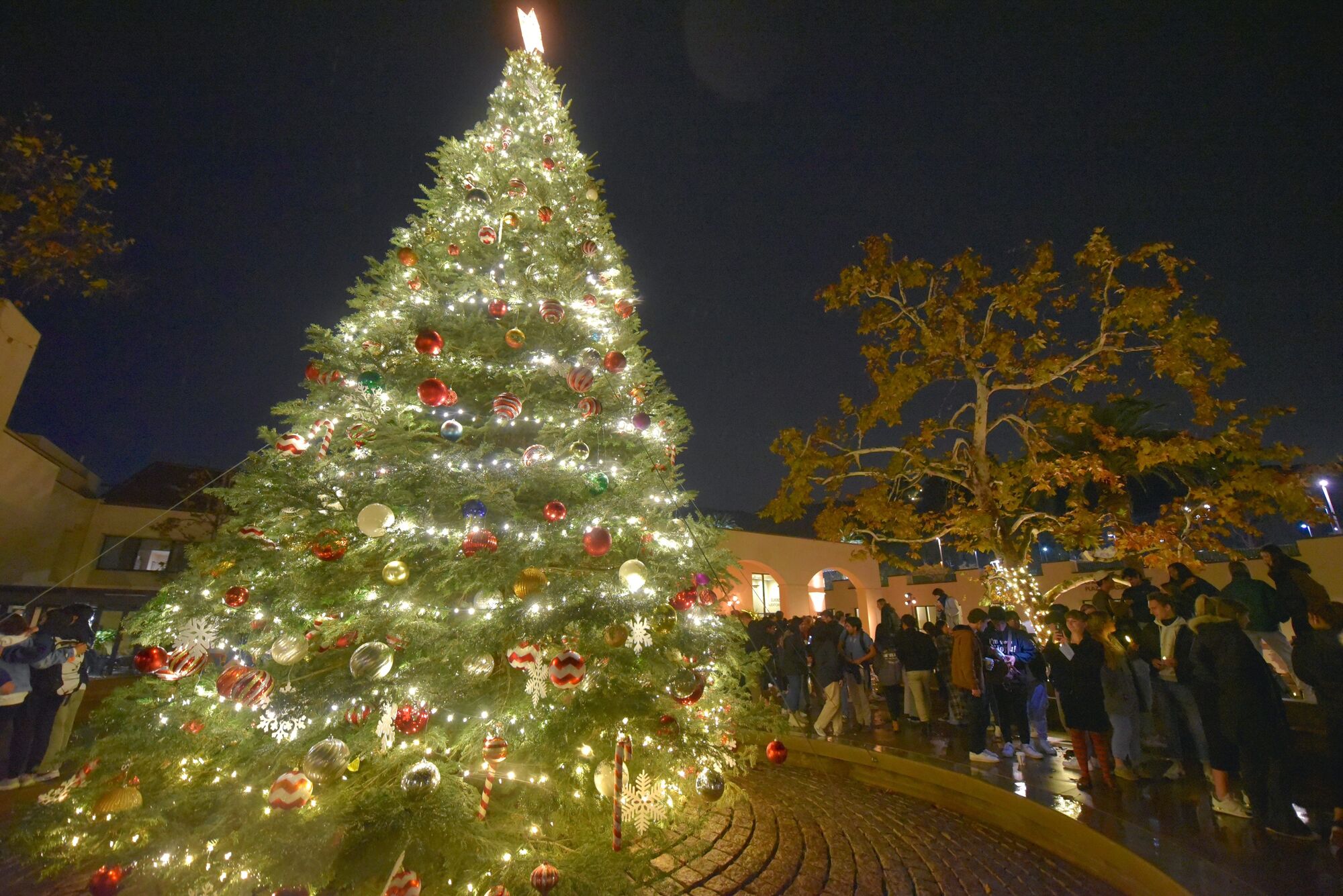 Pepperdine Tree Lighting Ceremony Tonight