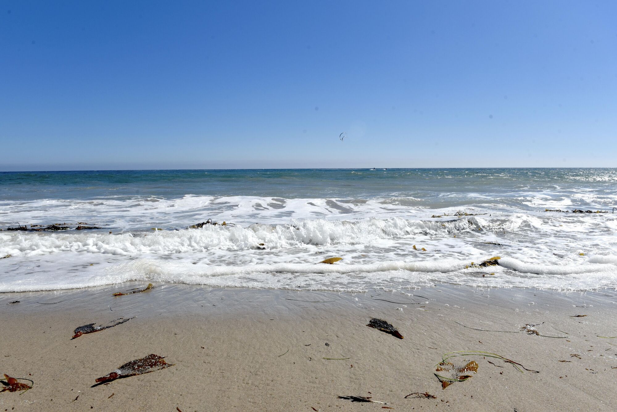 Ocean Water Quality Rain Advisory issued for all LA County Beaches