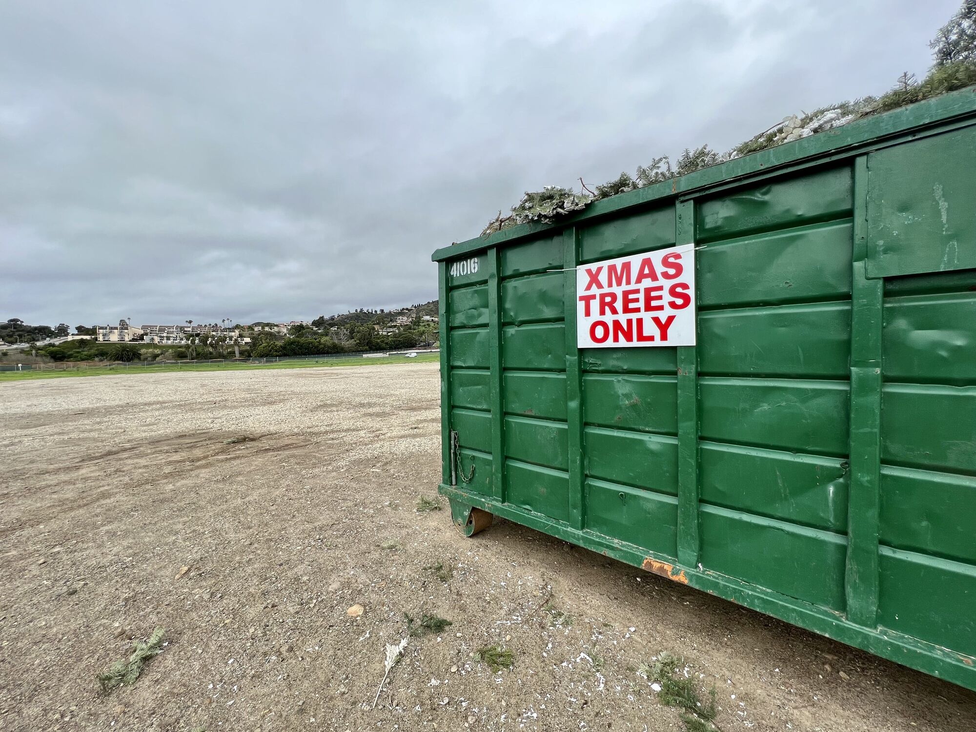 Free Christmas tree recycling at Chili Cook-off lot