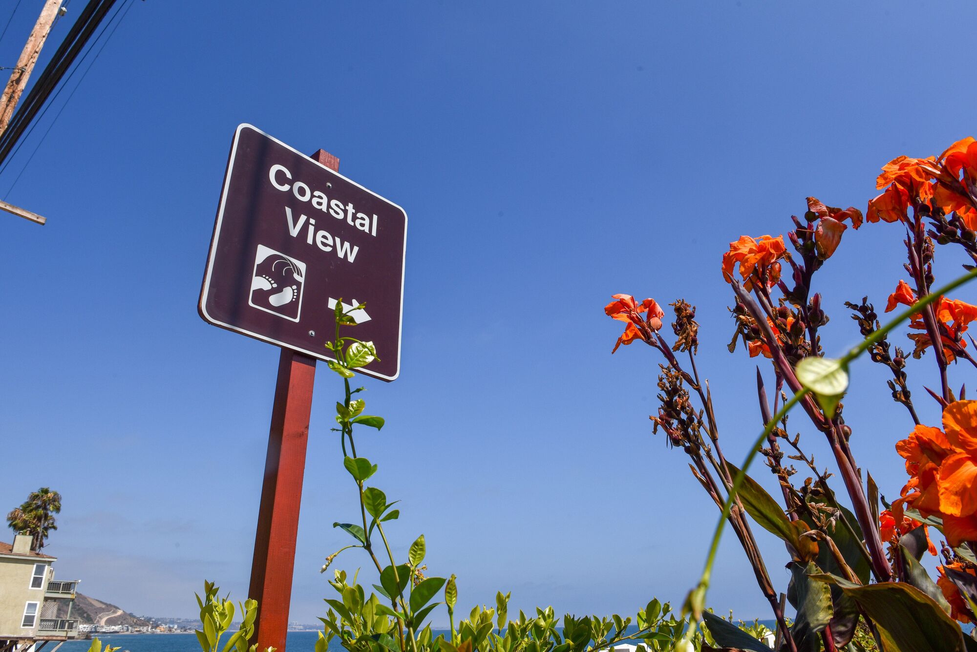 New science updates shared on DDT contamination off the Malibu coast