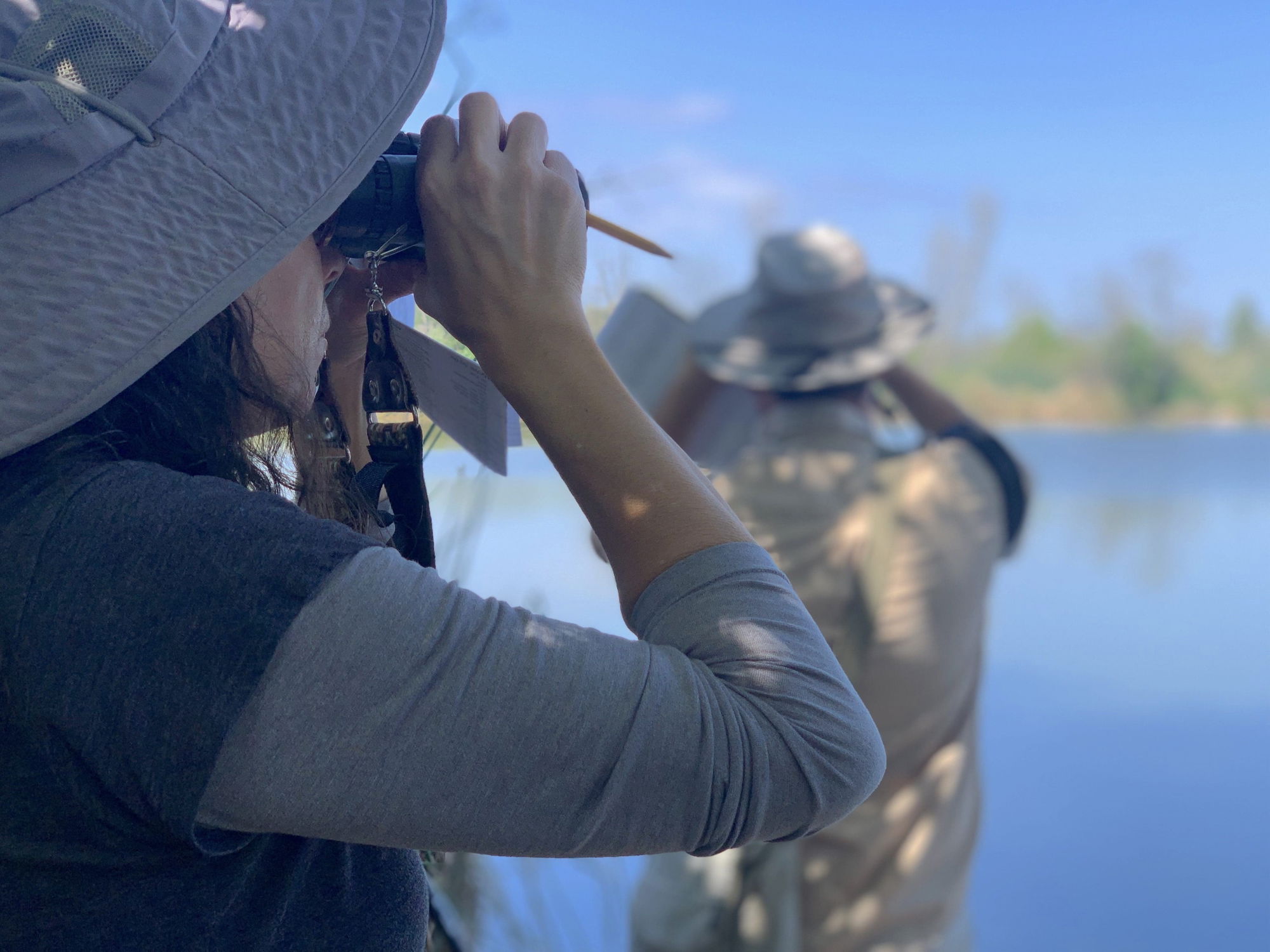 Resource Conservation District to hold series of immersive outdoor workshops
