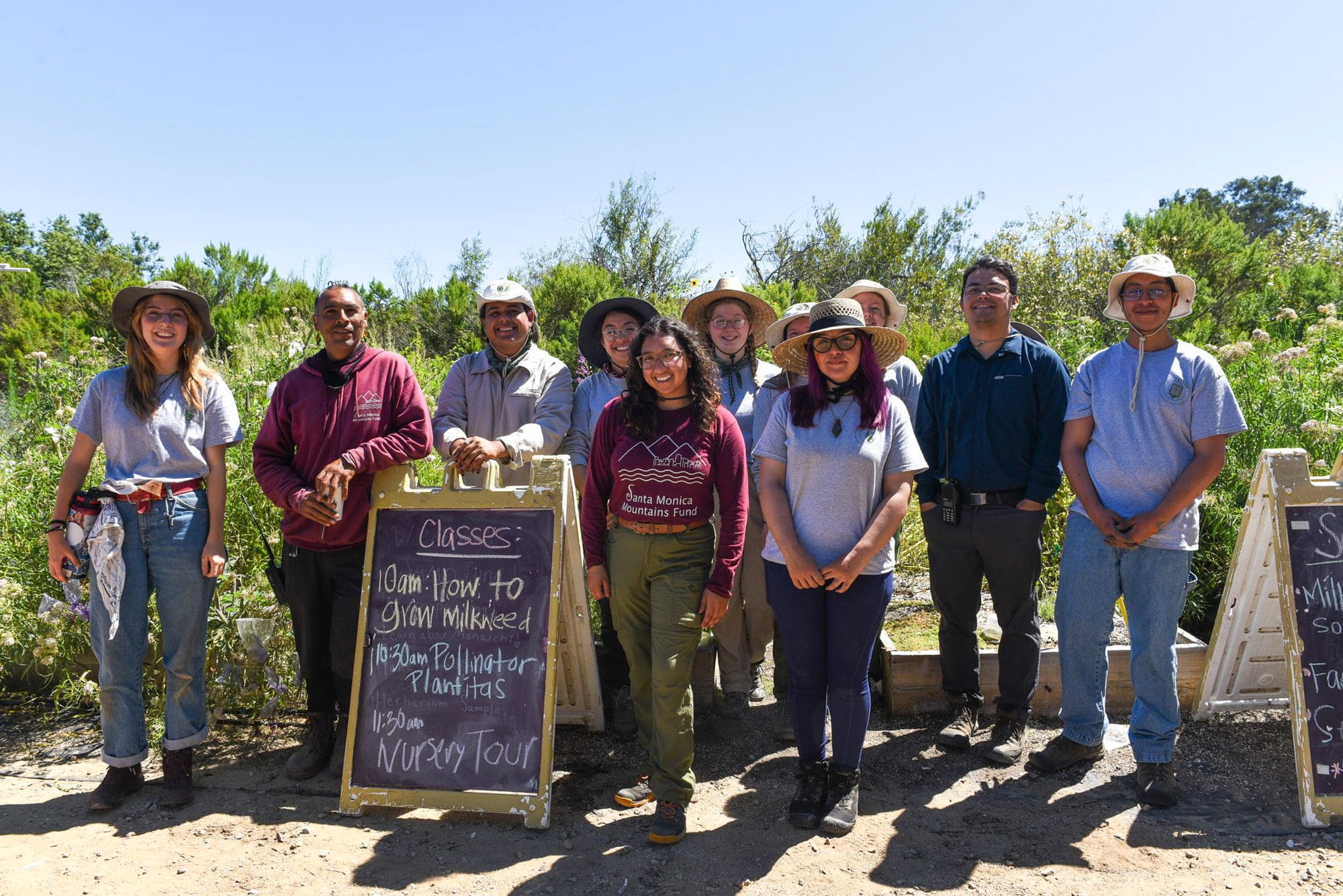 Restoring monarch butterflies — one milkweed plant at a time