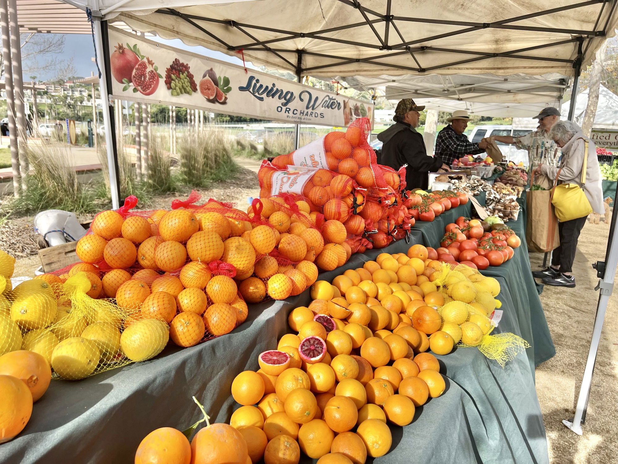 Breaking: Malibu Farmers Market cancelled due to Hurricane Hilary