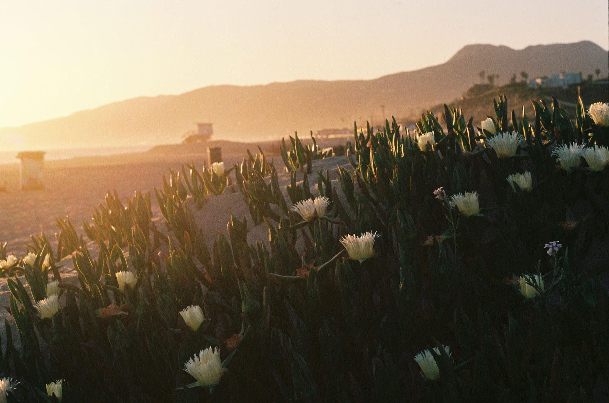 Malibu's Best Shot: Westward Beach