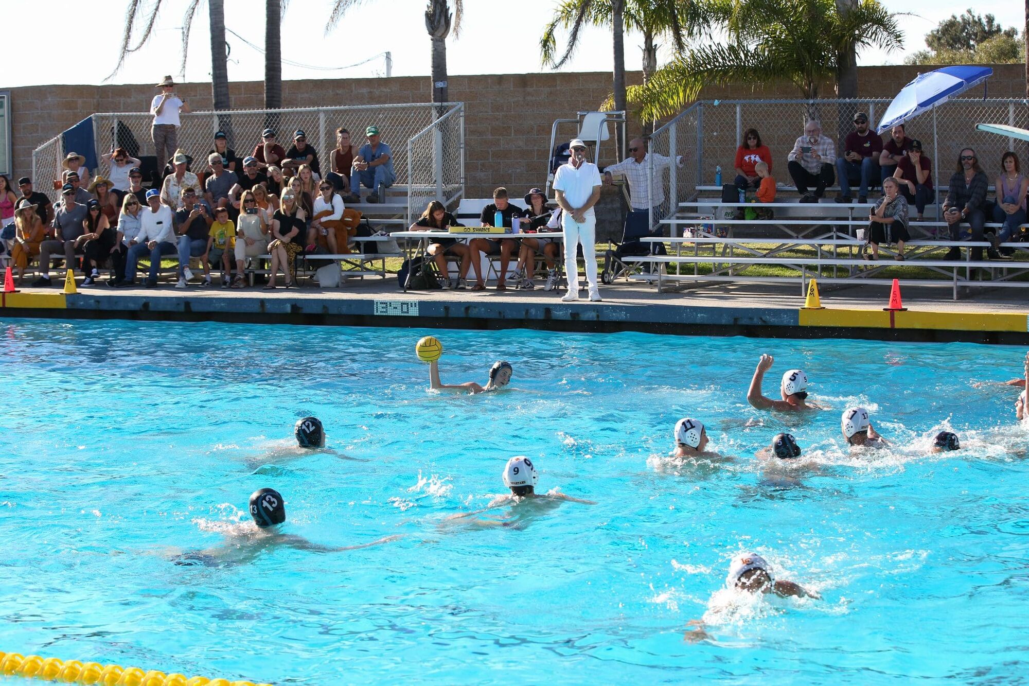 Sharks boys water polo to take on alumni in Alumni Game