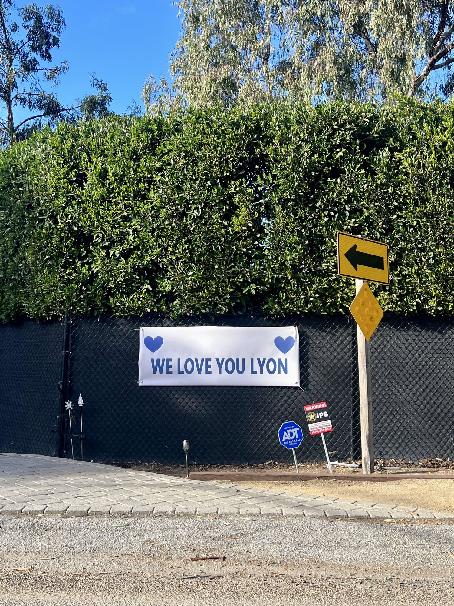 Lyon Forever: 'It’s not goodbye, it’s just see you soon'