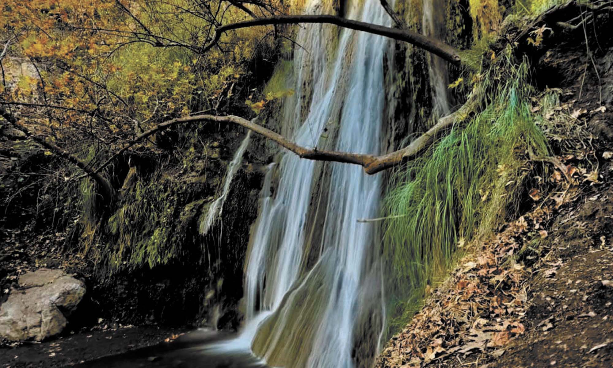 Escondido Falls Trail