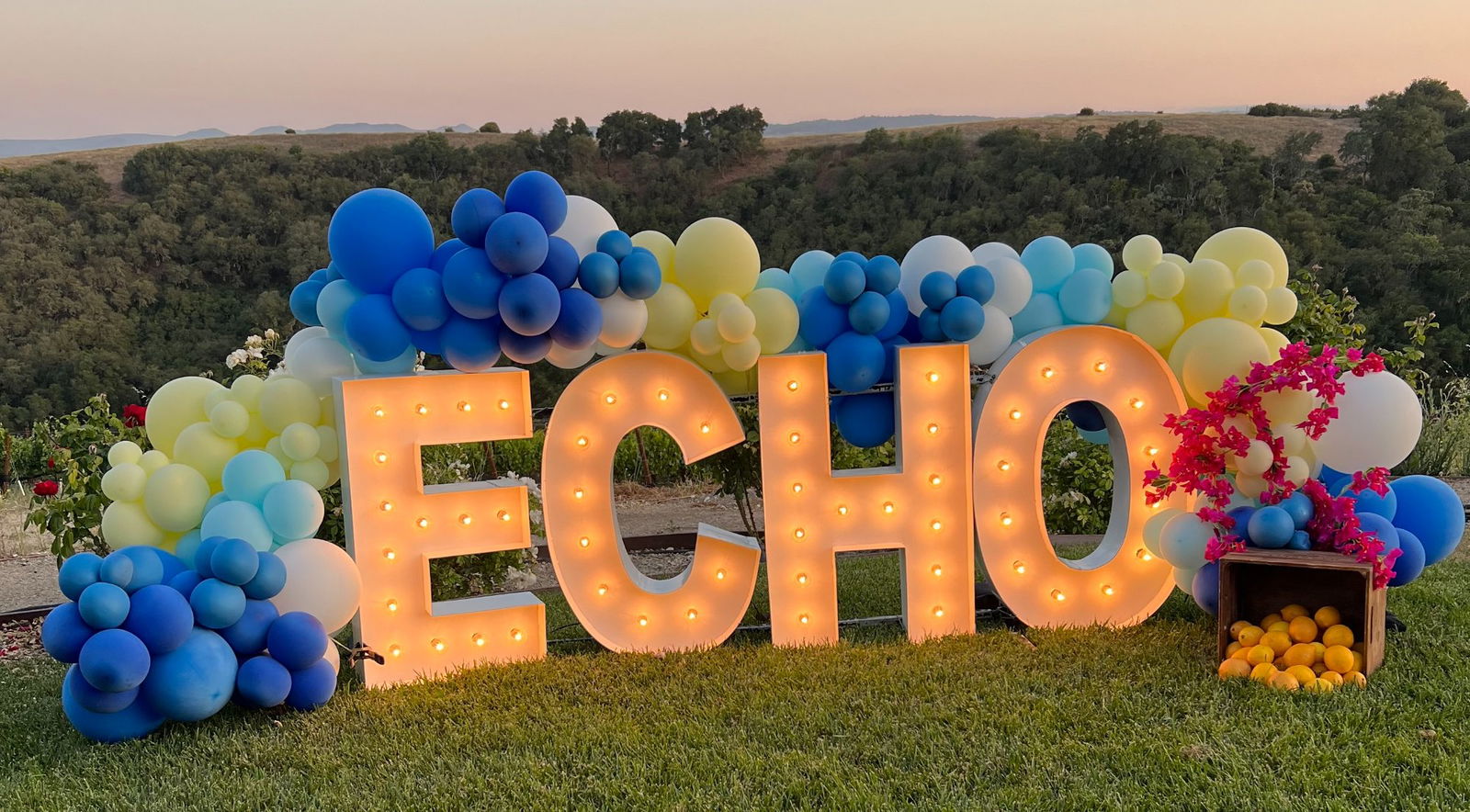 ECHO Hosts Winemaker Dinner