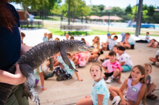 Paso Robles Recreation opens registration for summer camps and classes