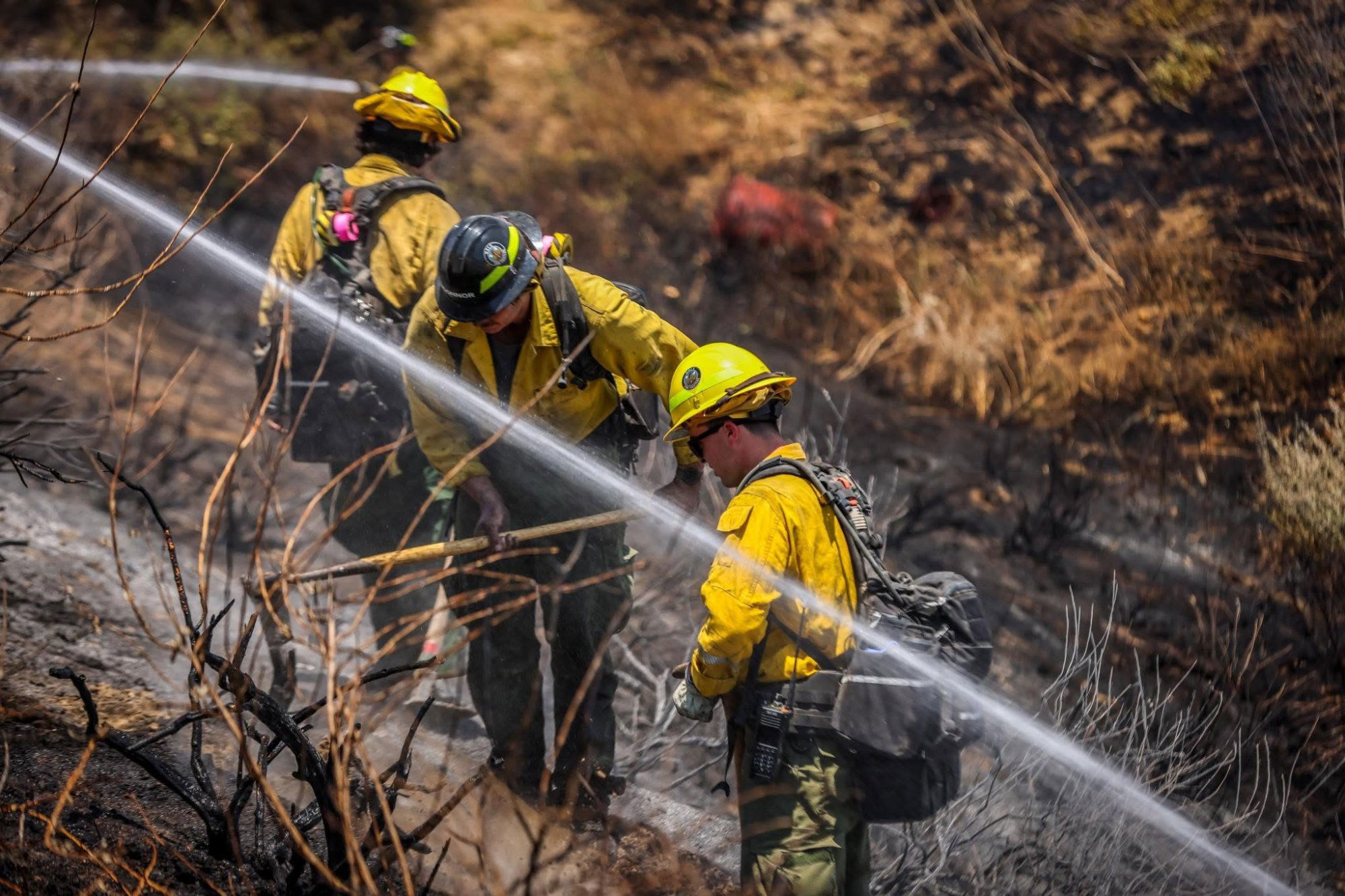 Fighting fire with fire: Prescribed burn strengthens wildfire defenses in the Santa Monica Mountains