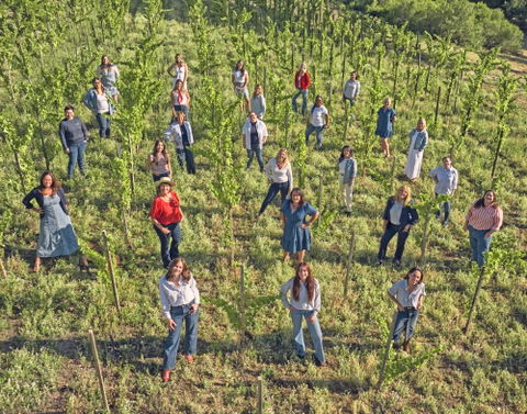 Hope Family Wines highlights women in wine industry during harvest