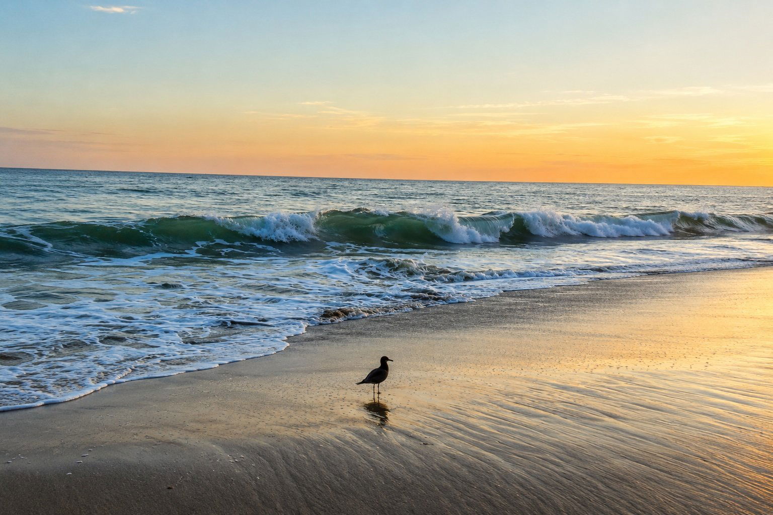 Malibu's Best Shot: Solitaire, Broad Beach