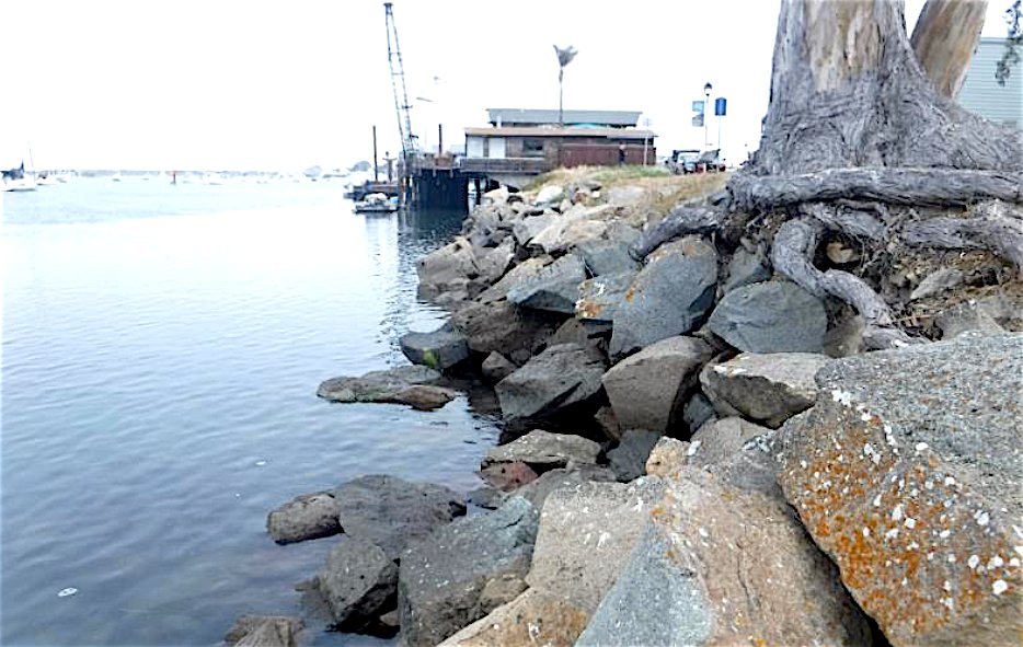 Carbajal secures push for Army Corps to repair Morro Bay Harbor revetment
