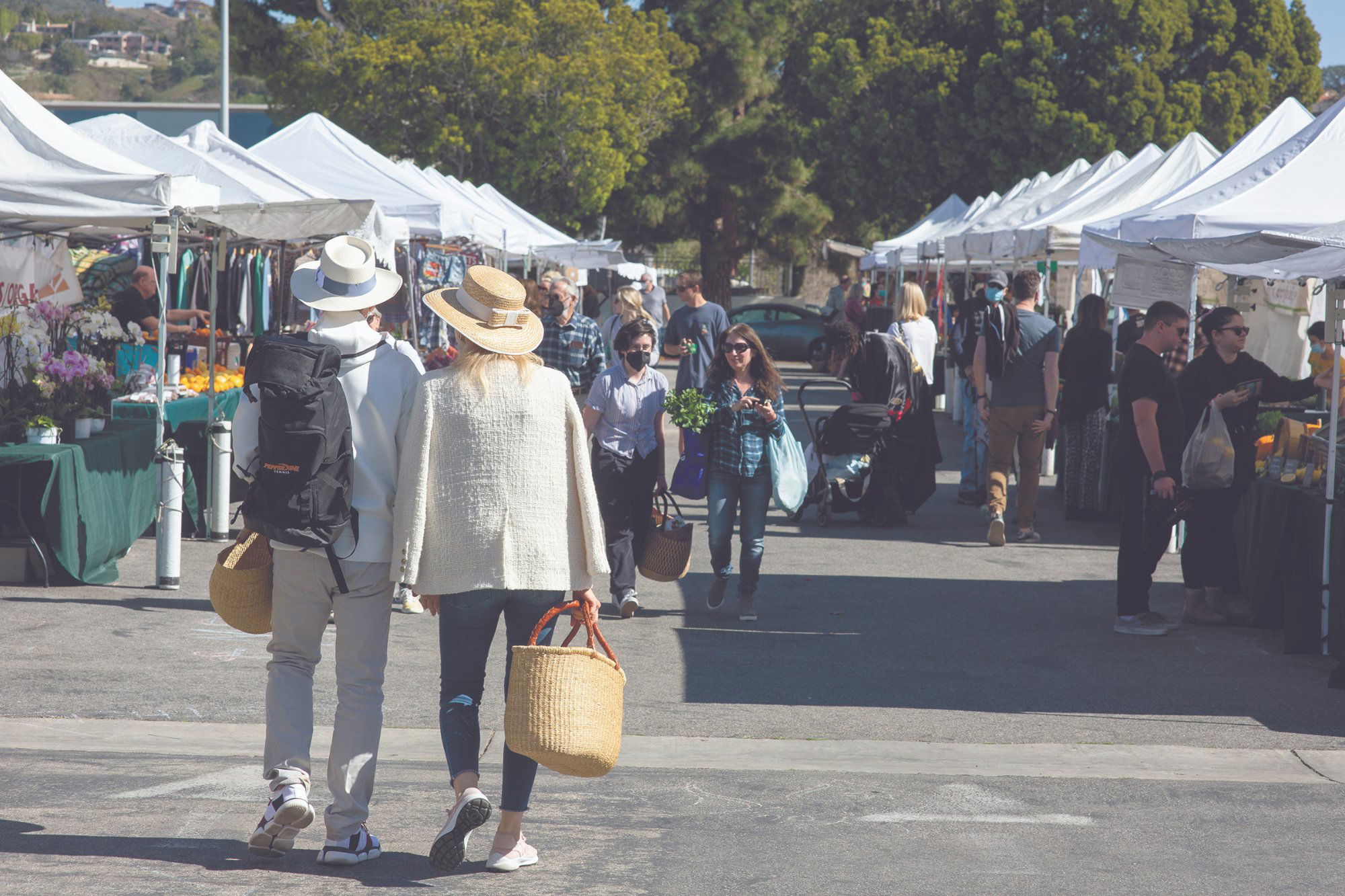 Malibu Farmers Market returning to Library parking lot this Sunday