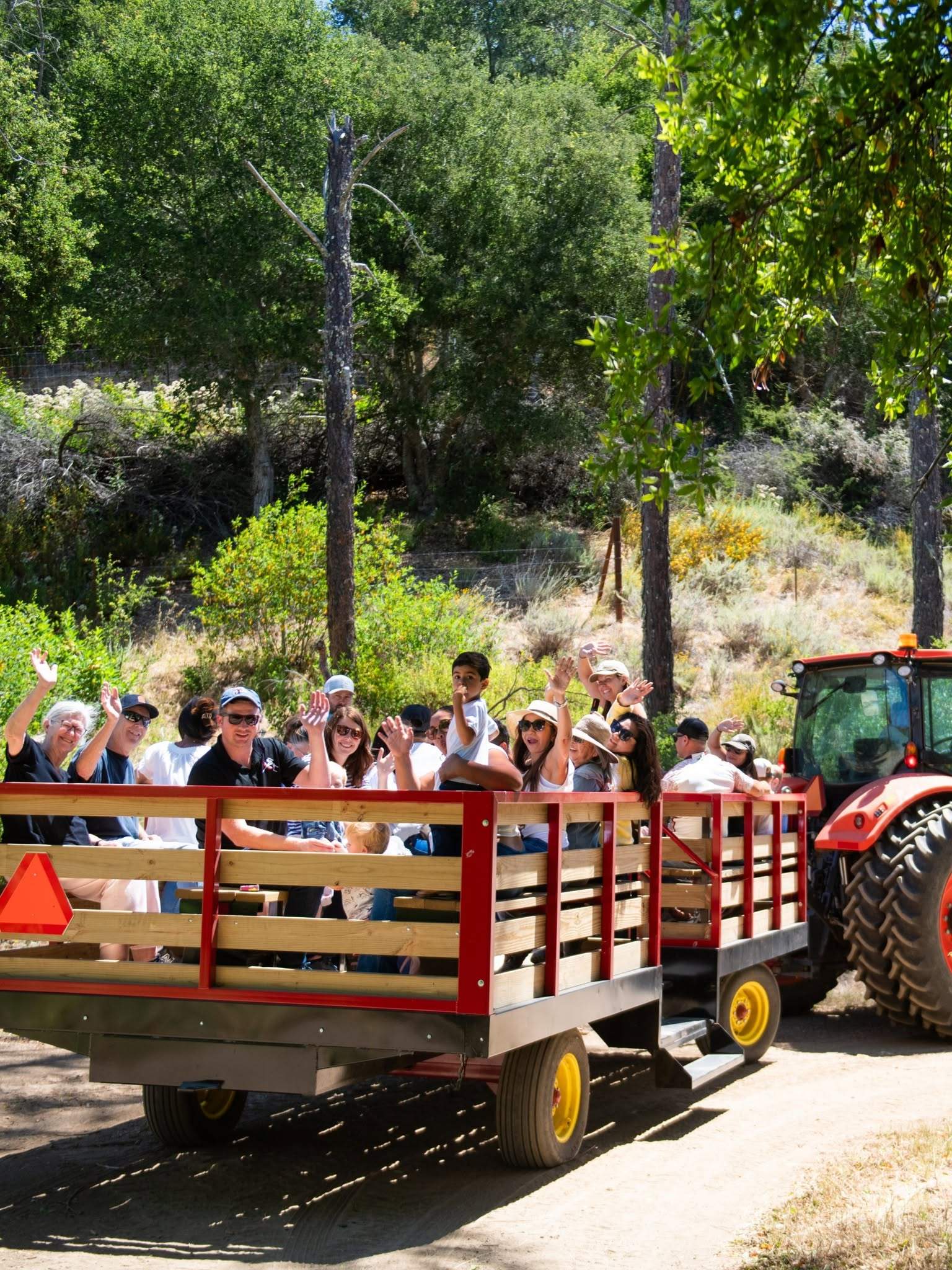 46 Ranch to open first pumpkin patch in Templeton