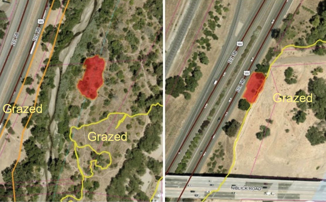 Two vegetation fires burn less than half-acre in Salinas River corridor