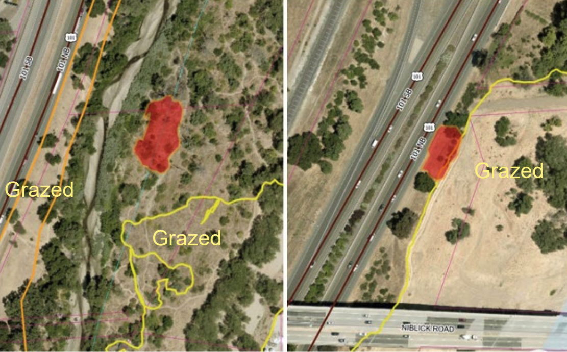 Two vegetation fires burn less than half-acre in Salinas River corridor