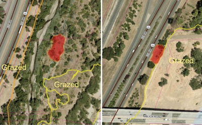 Two vegetation fires burn less than half-acre in Salinas River corridor
