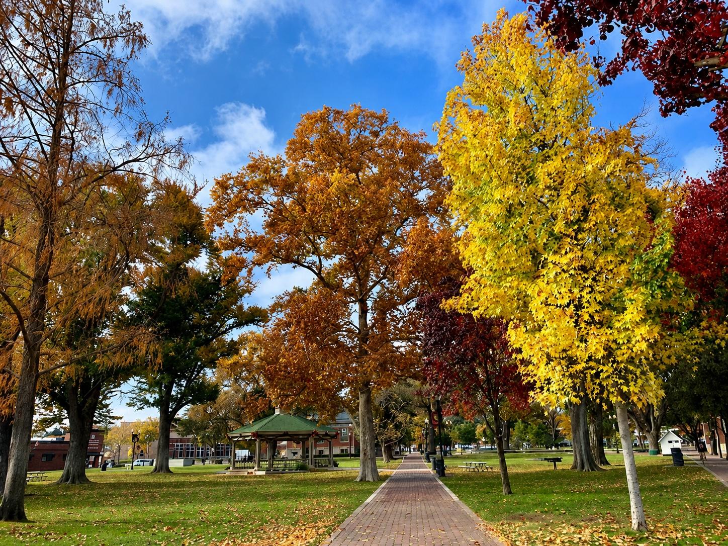 Gentle fall arrival in Paso Robles