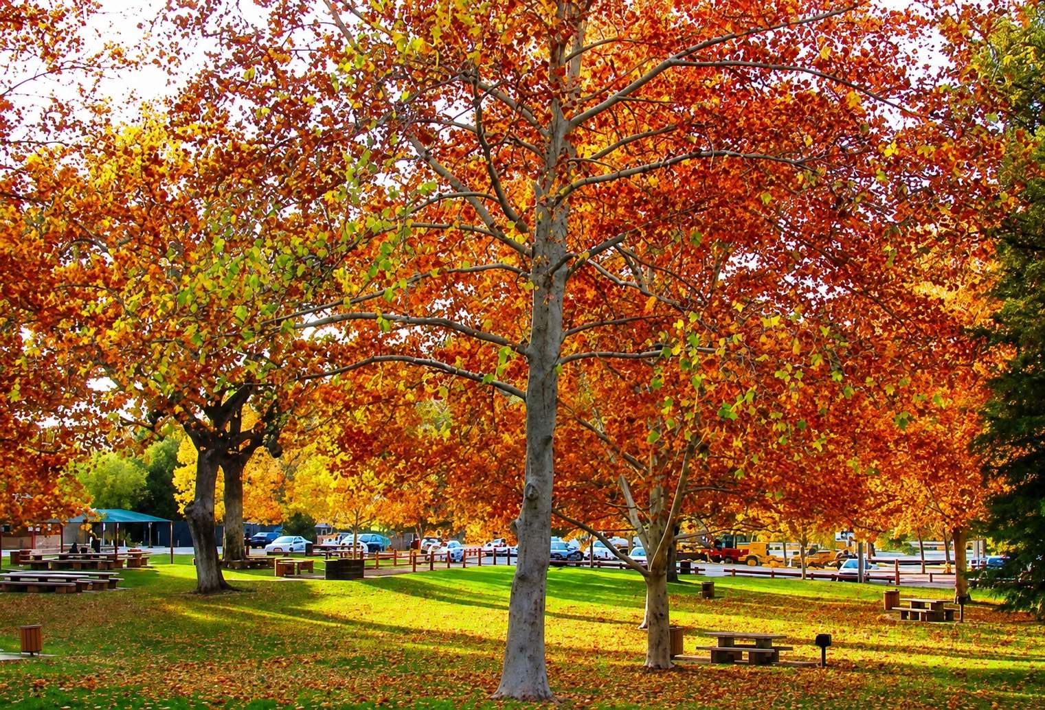 September, the Atascadero way