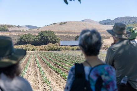 Eighth annual Santa Barbara County Farm Day brings farmers and the public together
