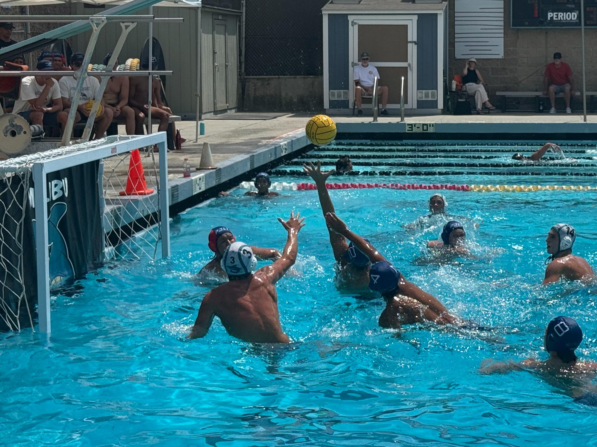 Sharks go undefeated in Malibu Varsity Tournament