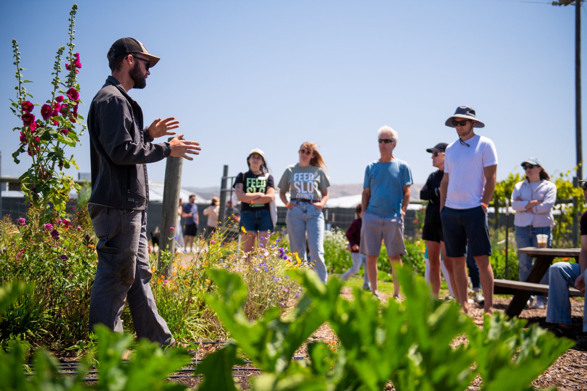 FARMstead ED opens 2027 SLO County Farm Trail membership