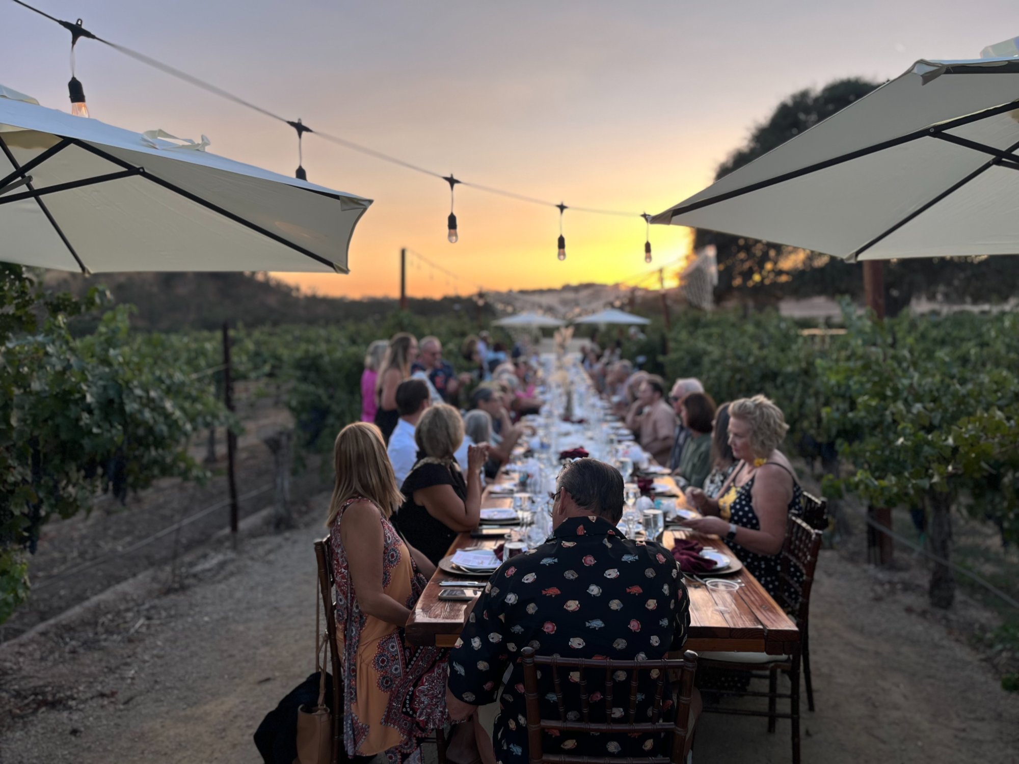Paso Robles Wine Country celebrates harvest during October Harvest Wine Month