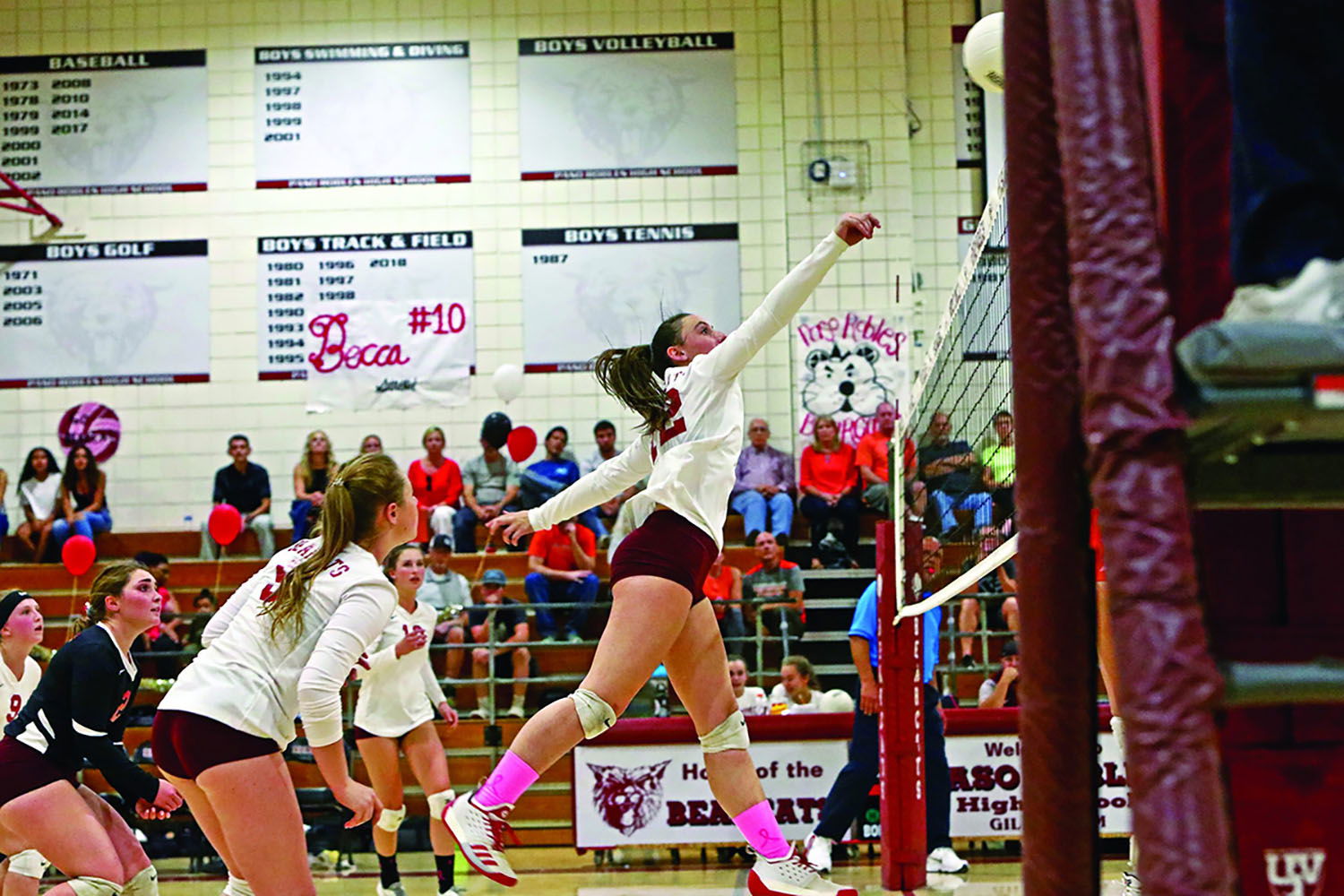 Bearcats Roll on Senior Night
