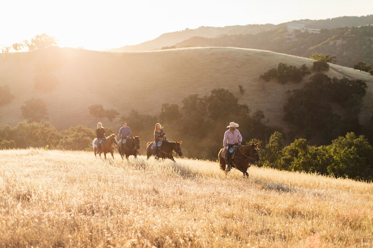 Rediscovering Paso Robles
