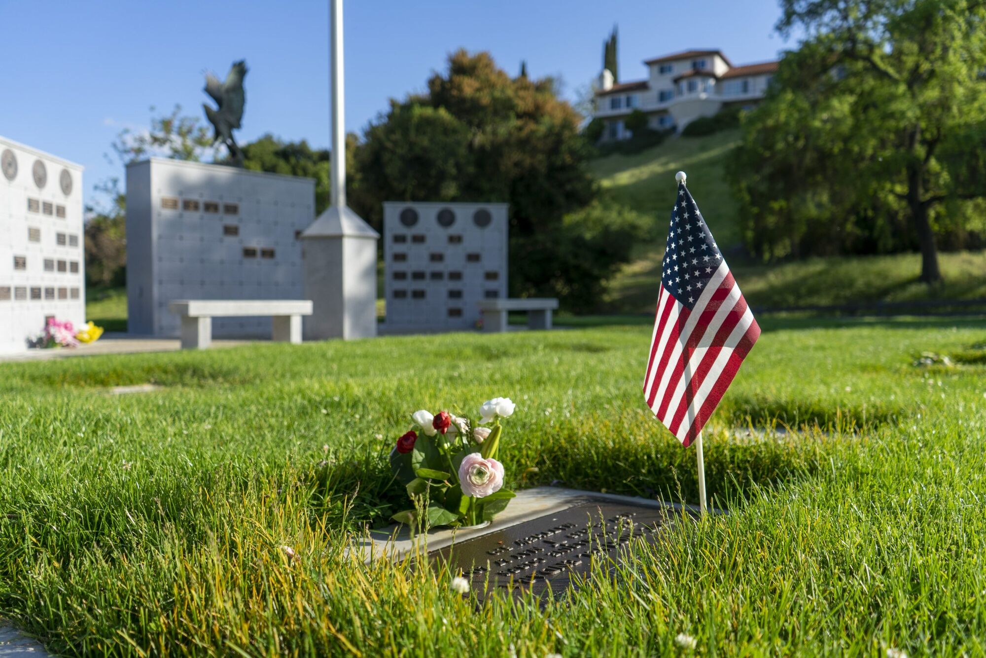 Veterans Day Events Happening in North County