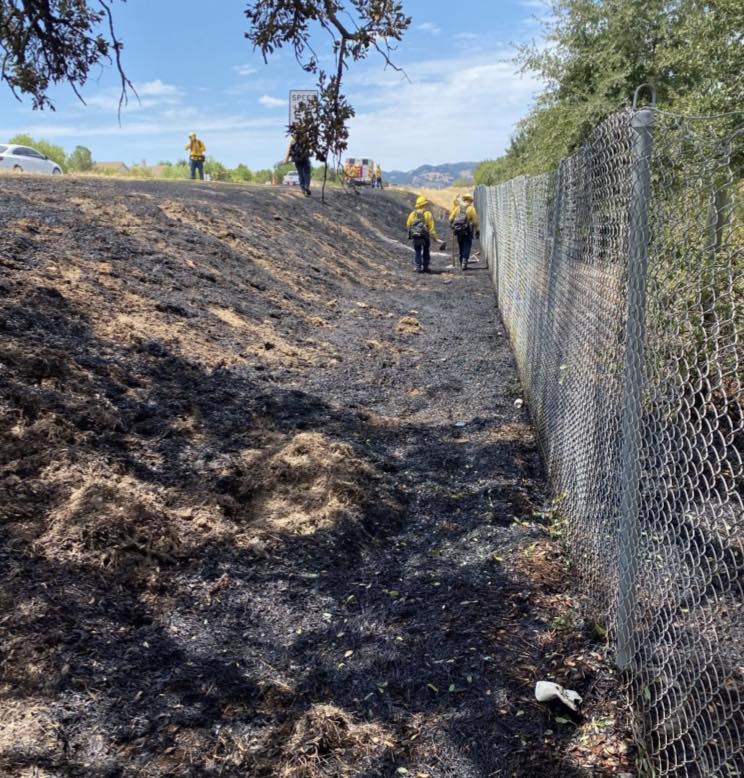 Paso Firefighters Respond to Vegetation Fire on Sunday