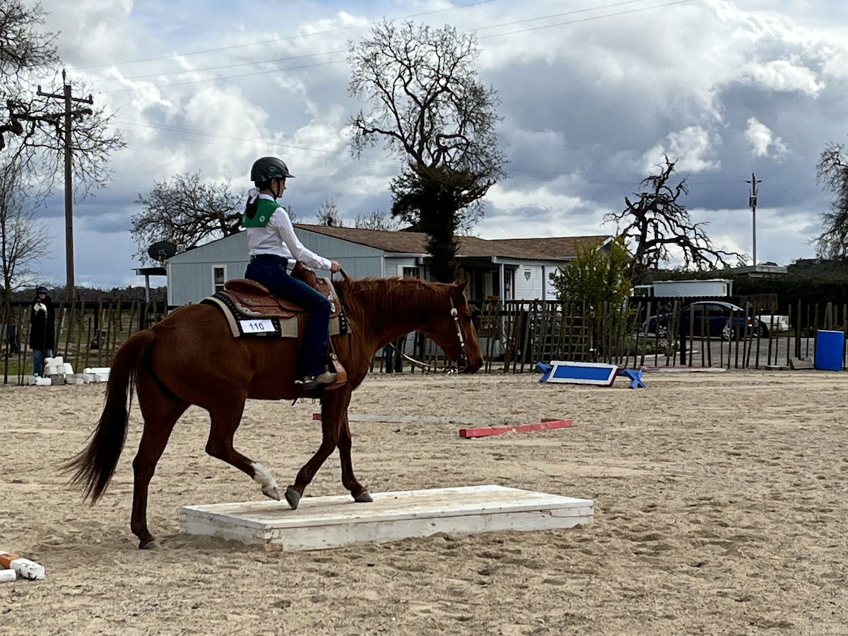 Back in the Saddle Open Horse Show Supports Local 4-H