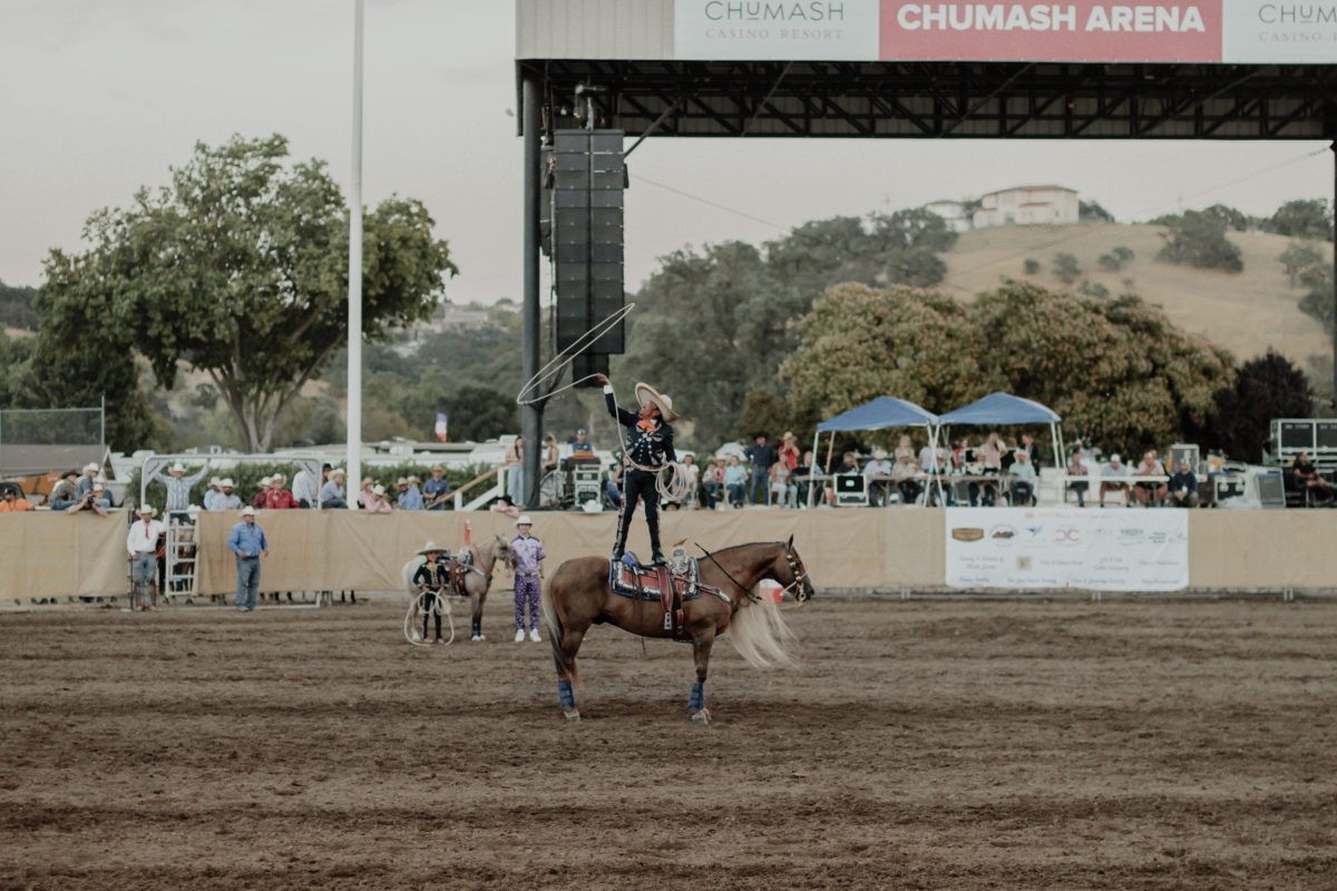 Sold-out crowd cheers on cowboys and cowgirls at rodeo finals