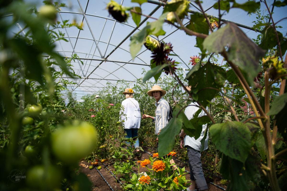 SLO County Farm Trail swings open gates for Open Farm Day Fundraiser