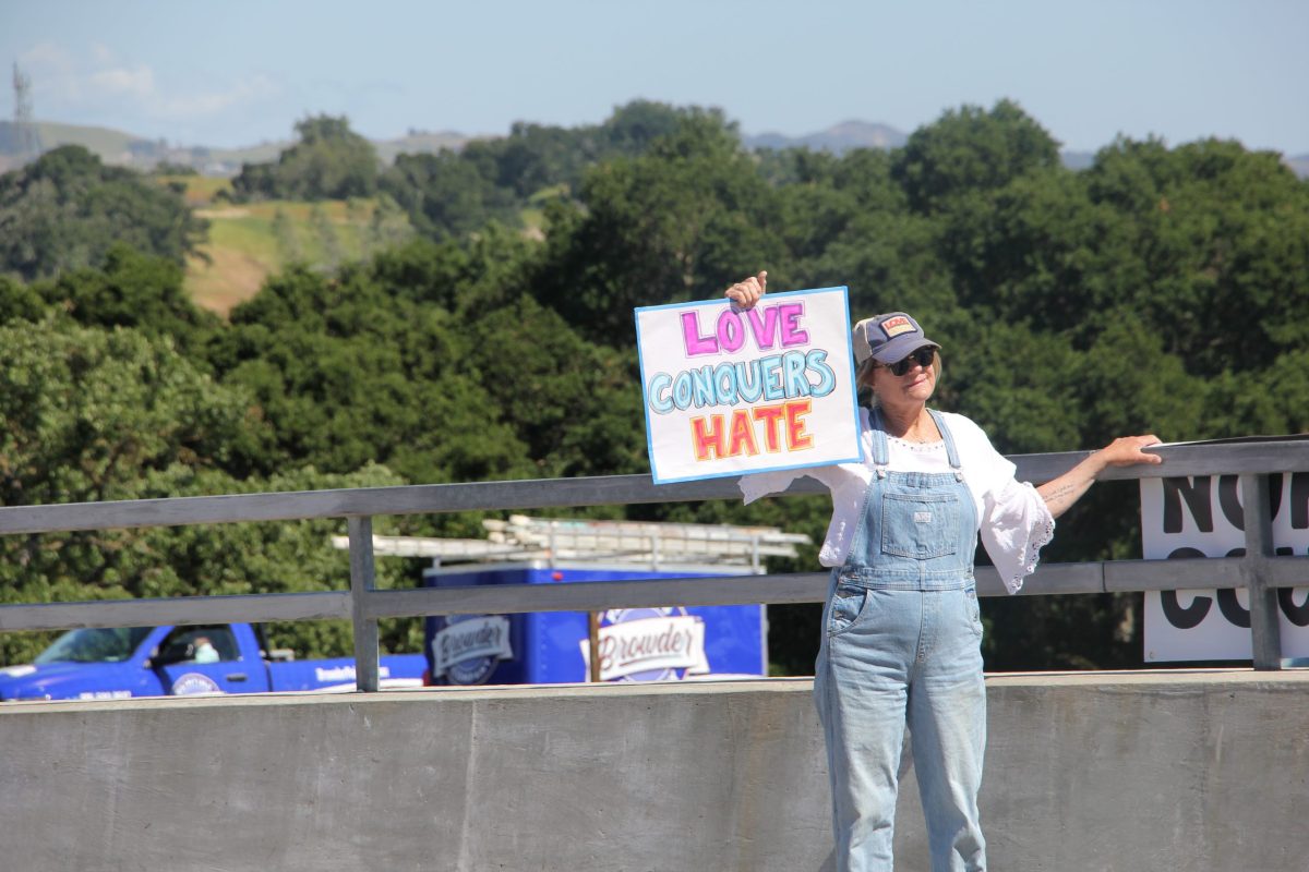 Group Organizes Rally on Vineyard Drive Overpass