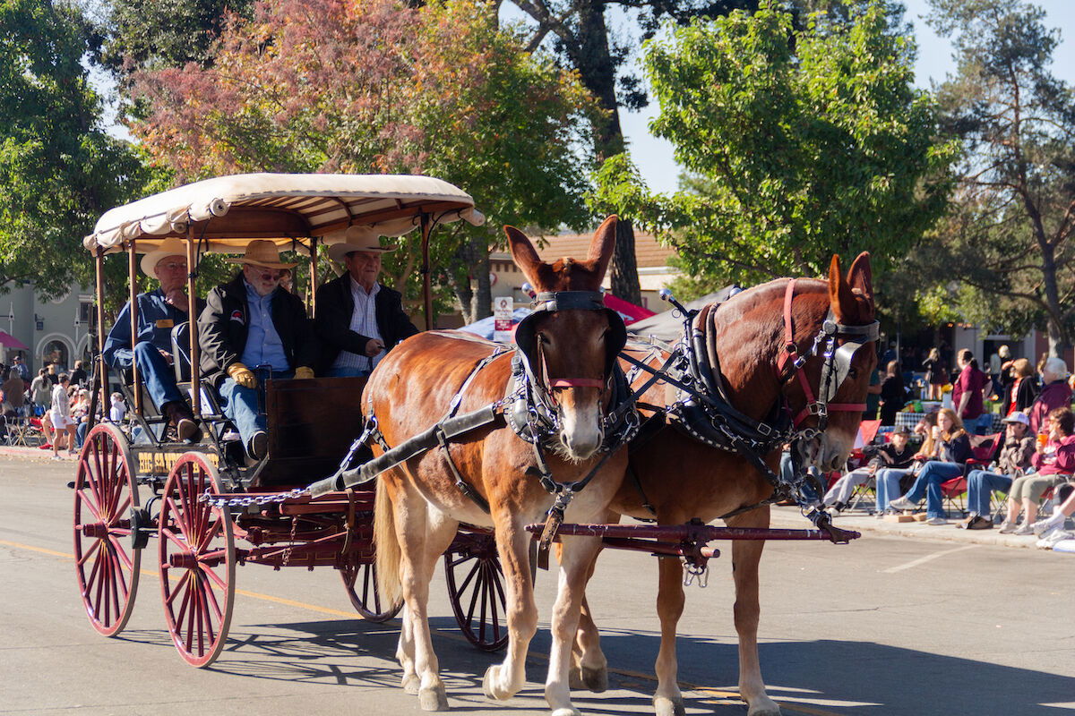 Celebrating 93 years of tradition and community at Pioneer Day