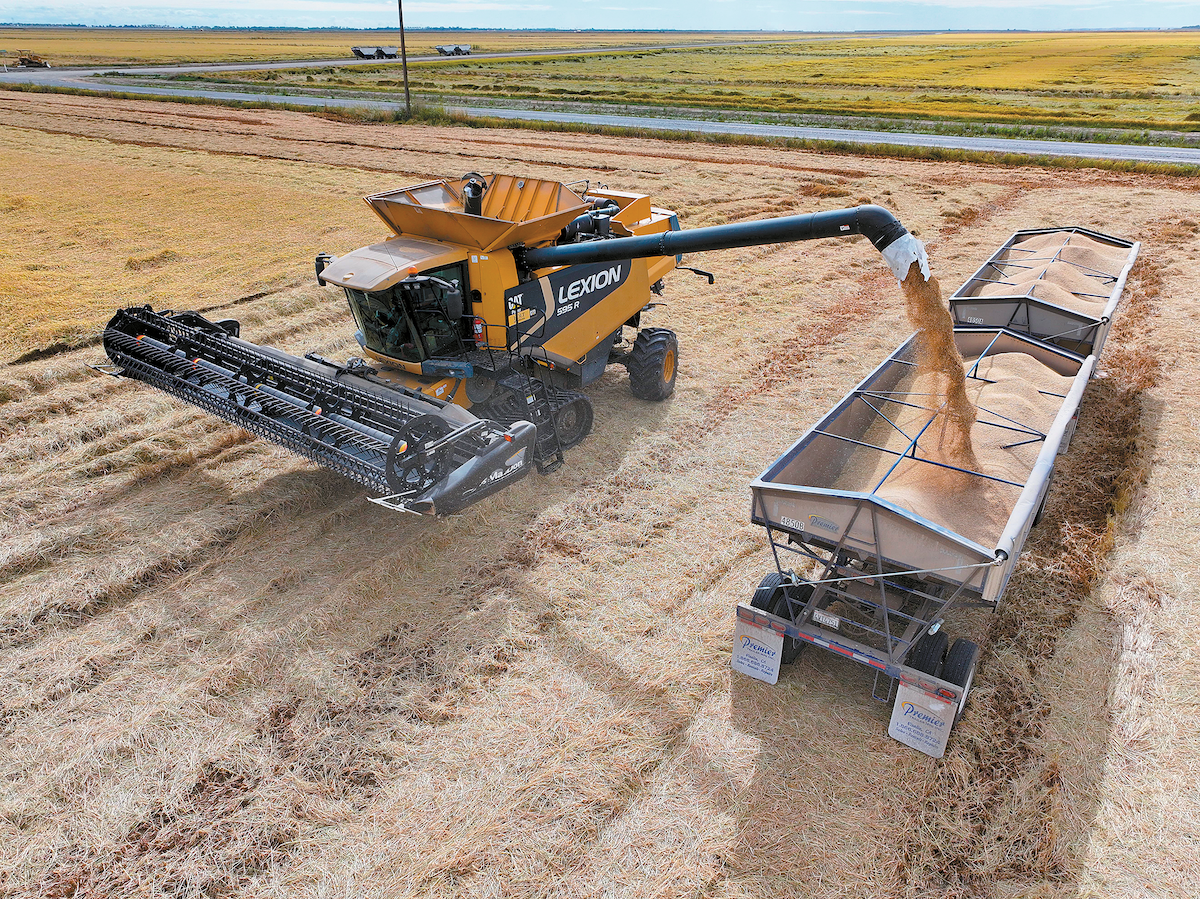 Full rice crop set to win back lost markets