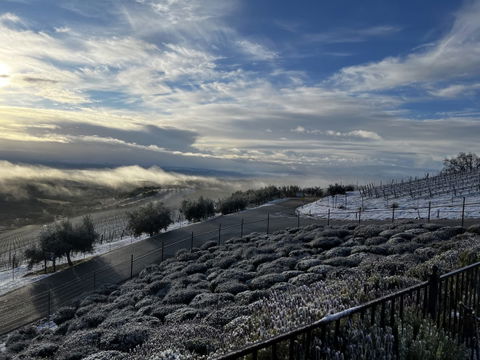Community Photos of the North County Snow