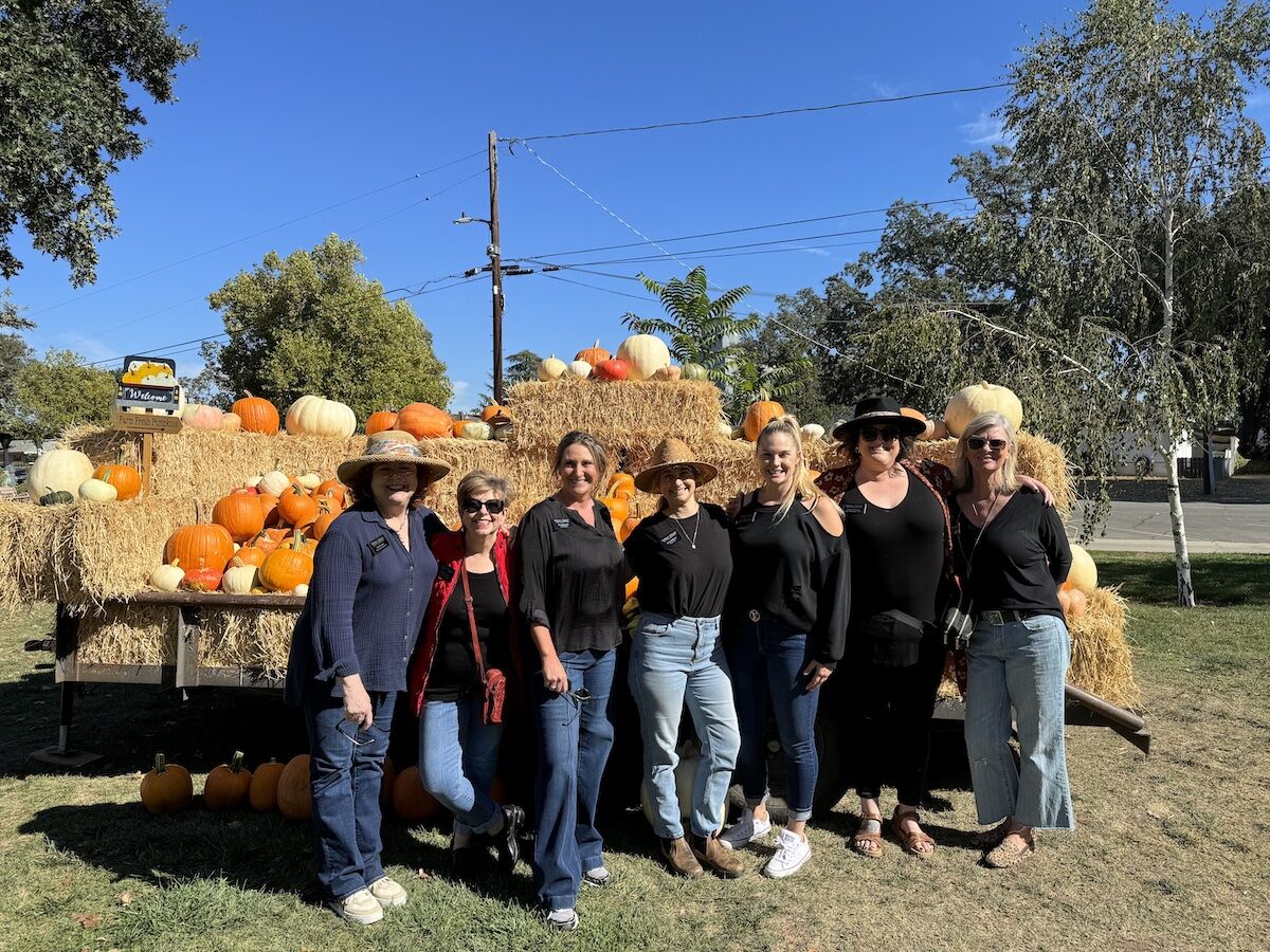 Templeton Fall Festival raises funds for community park