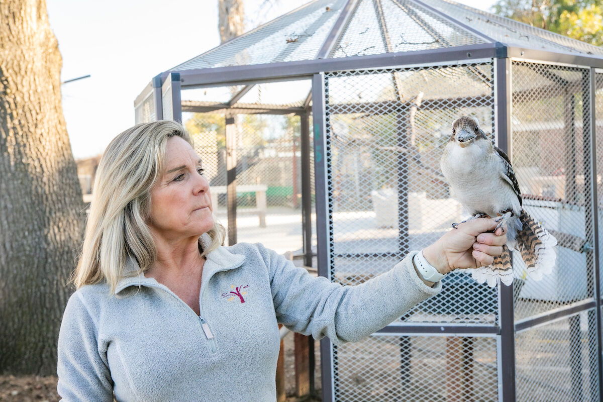 Zoo to You: The Famous, and Unknown, Menagerie
